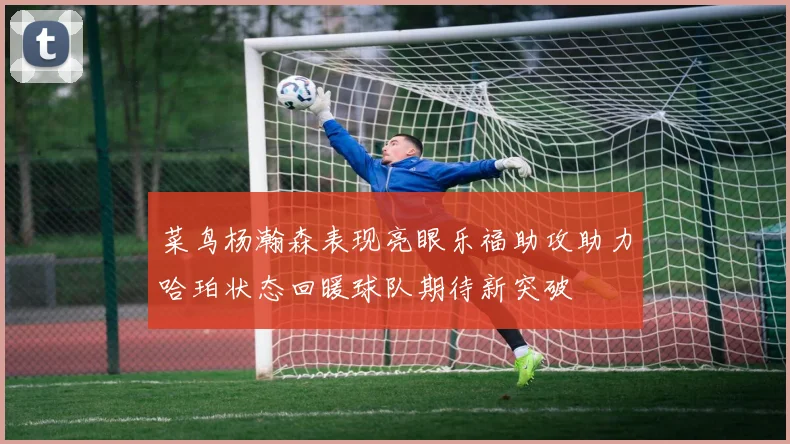 菜鸟杨瀚森表现亮眼乐福助攻助力哈珀状态回暖球队期待新突破